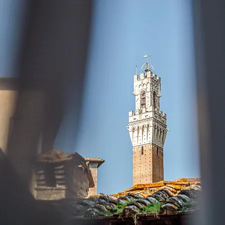 Rose - In Centro Storico Con Balcone Con Vista سيينا